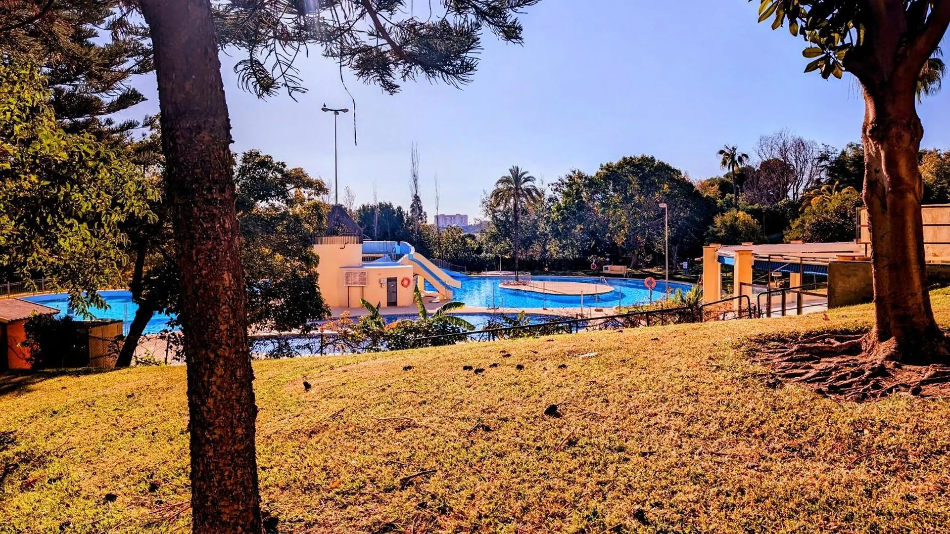 شقة Estudio 19 Minerva Apartamentos-Piscina365-Playa-Wifi بينالماذينا